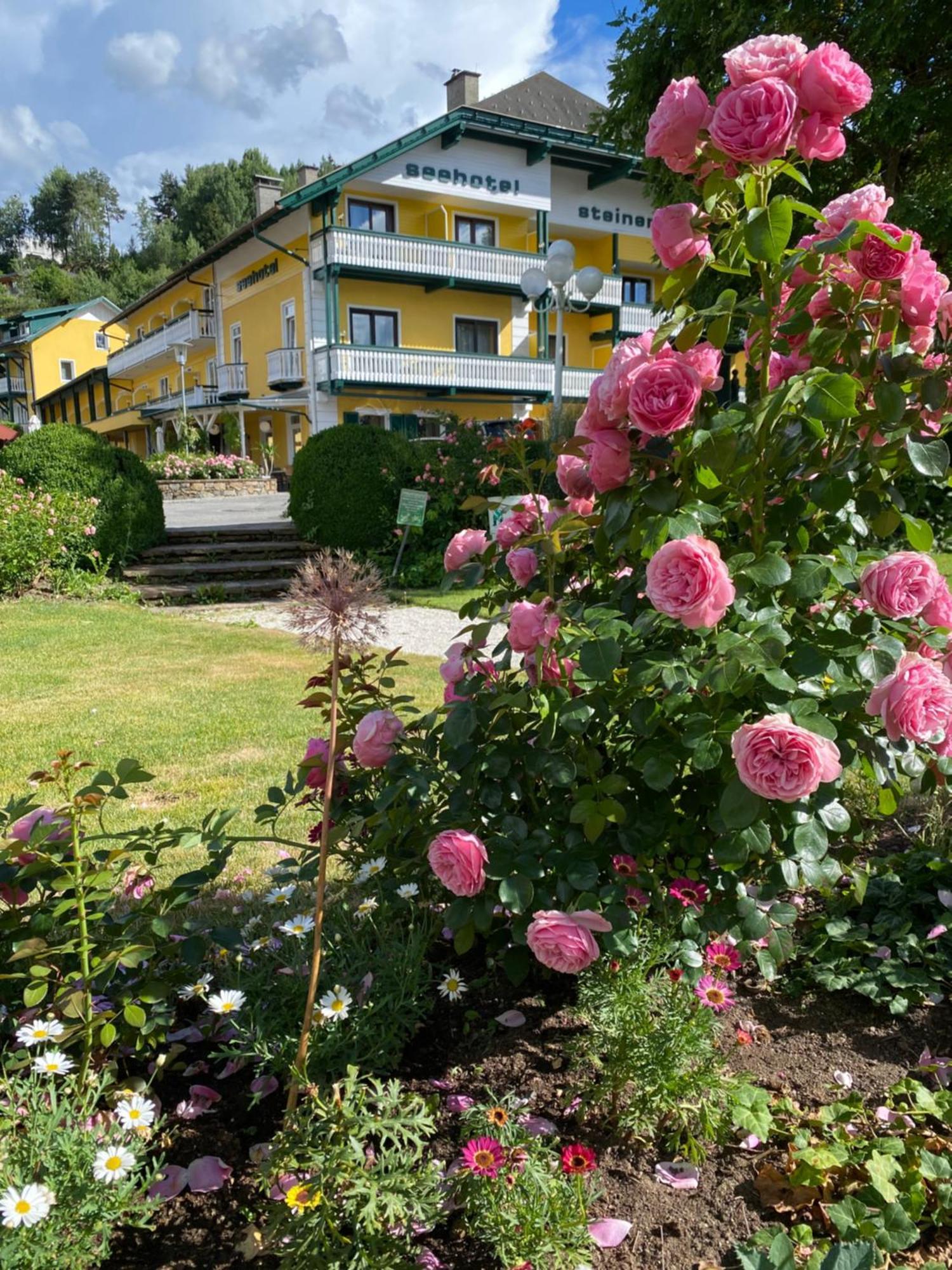 Seehotel Steiner ゼーボーデン エクステリア 写真